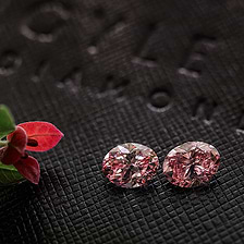 The Florentine Diamond | Leibish