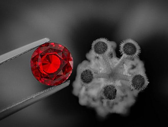 Star Ruby Information - Value, Meaning & Rarity | Leibish