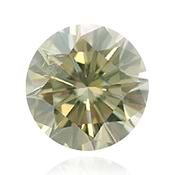 Fancy Grey Greenish Yellow