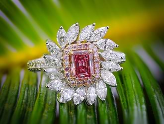 Argyle Diamond Mine Tour | Leibish