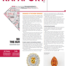 Rapaport - Orange is the New Orange